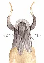 taureau (2).webp