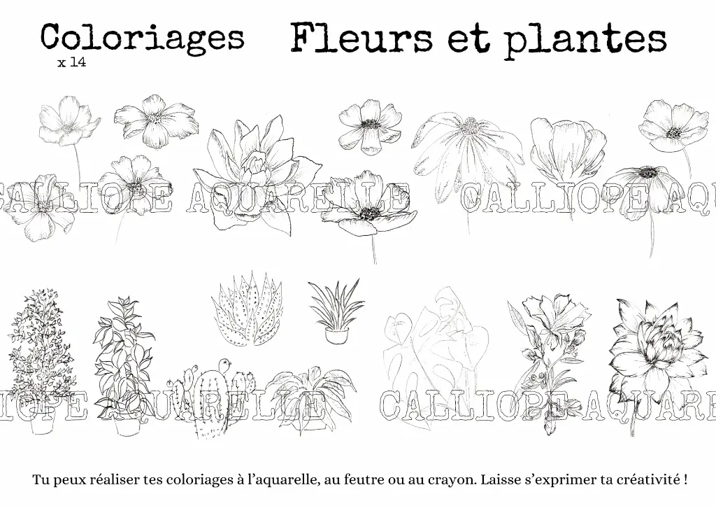 Coloriages : Fleurs et plantes.