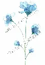 bleuet (2).webp