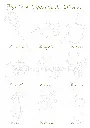 2(1).webp