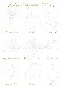 4(1).webp