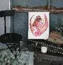 MOCKUP DRAGON 2.webp