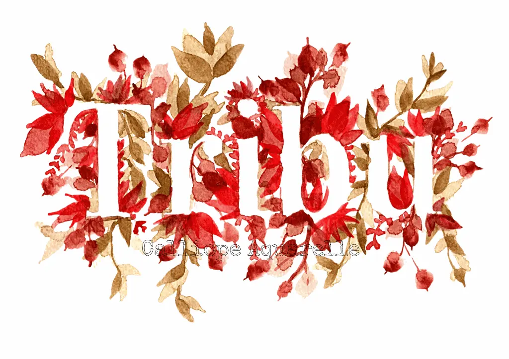 6.webp