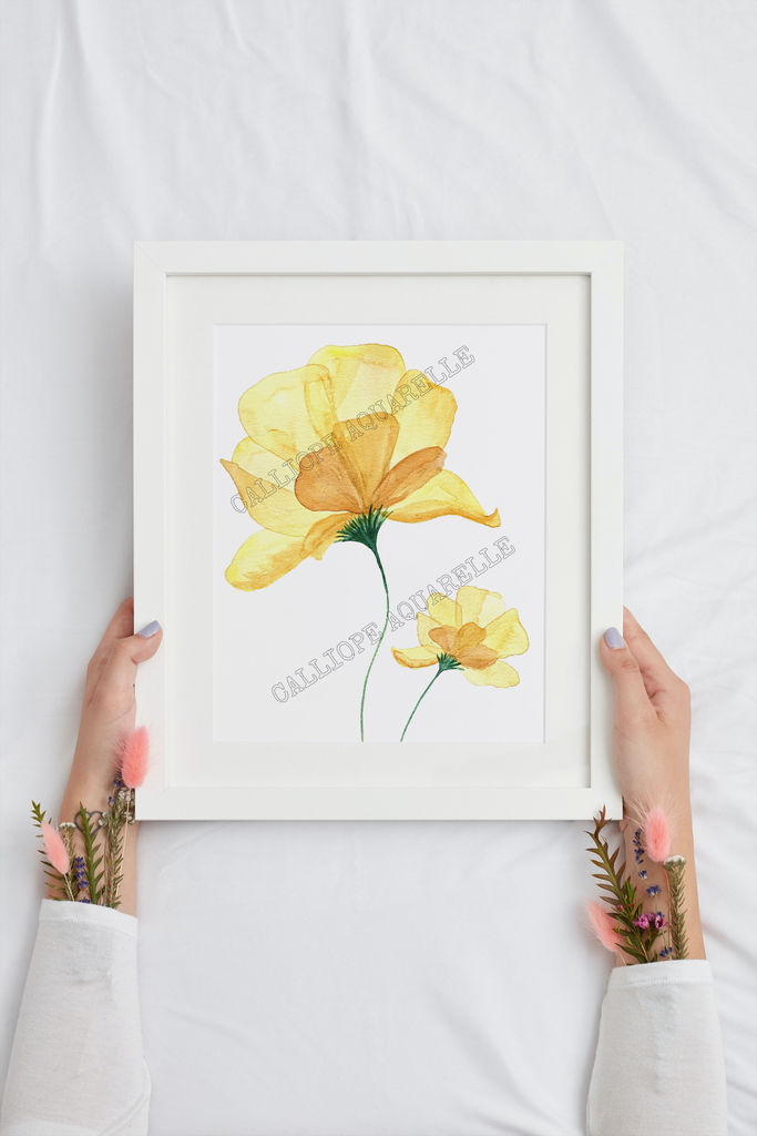 Fleurs délicates : Jaunes.